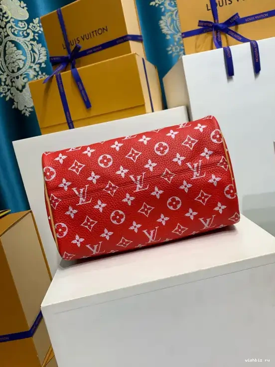 WIS 25 VUITTON  P9 Speedy Bandoulière LOUIS 0515